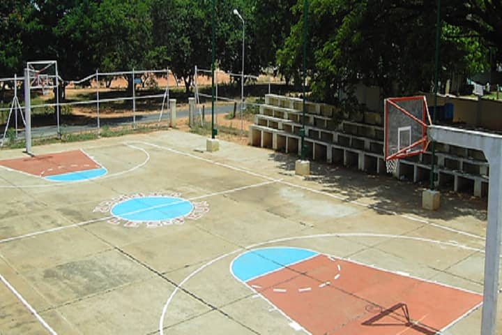 Gallery Image 7