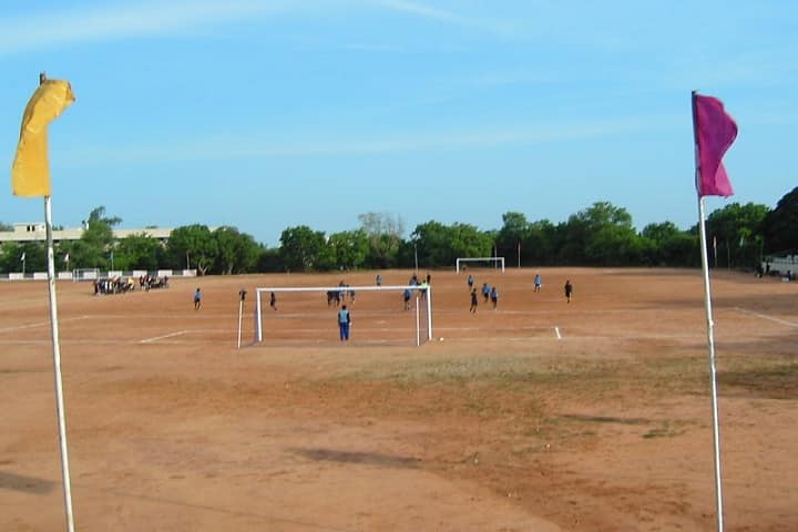 Gallery Image 11