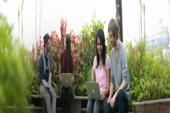 Gallery Image 8