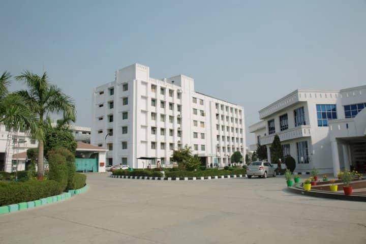 Gallery Image 6