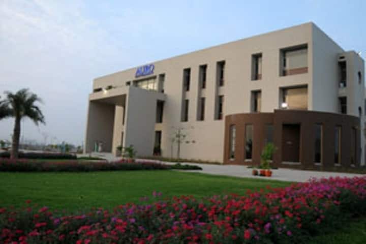 Gallery Image 5