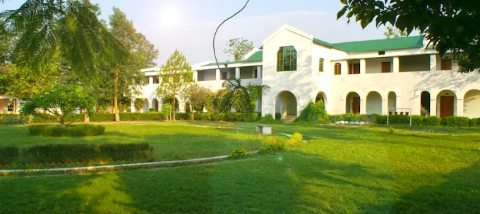 Gallery Image 1