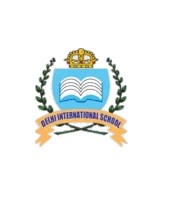 Delhi International School