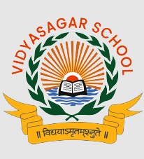 Vidya Sagar School